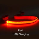 Coleira para cães com luz led, corda luminosa, trela de chumbo para segurança do cão, coleira brilhante, acessórios eletrônicos para animais de estimação