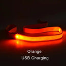 Coleira para cães com luz led, corda luminosa, trela de chumbo para segurança do cão, coleira brilhante, acessórios eletrônicos para animais de estimação