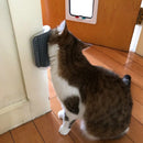 Pet Cat Catnip Massageadora Tira Pelos, Brinquedo Catnip